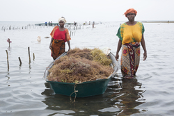 Shimoni, Kenya (16 February 2014).