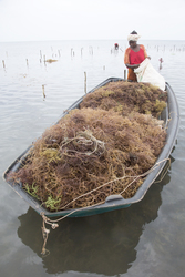 Shimoni, Kenya (16 February 2014).