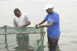 Shimoni, Kenya (16 February 2014).