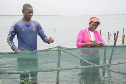 Shimoni, Kenya (16 February 2014).