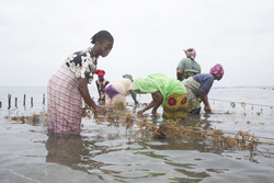 Shimoni, Kenya (16 February 2014).