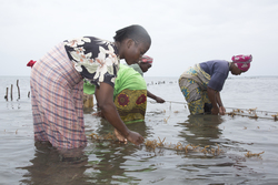 Shimoni, Kenya (16 February 2014).