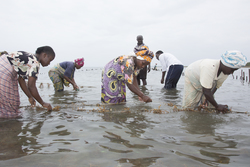 Shimoni, Kenya (16 February 2014).