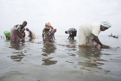 Shimoni, Kenya (16 February 2014).