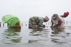 Shimoni, Kenya (16 February 2014).