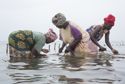 Shimoni, Kenya (16 February 2014).