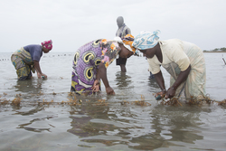 Shimoni, Kenya (16 February 2014).