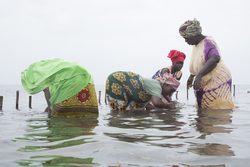 Shimoni, Kenya (16 February 2014).