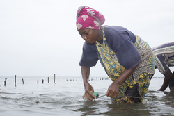 Shimoni, Kenya (16 February 2014).
