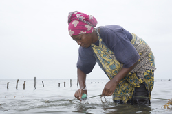 Shimoni, Kenya (16 February 2014).