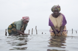 Shimoni, Kenya (16 February 2014).