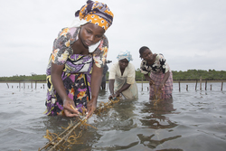 Shimoni, Kenya (16 February 2014).