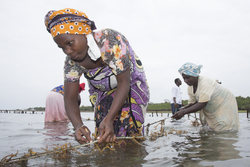 Shimoni, Kenya (16 February 2014).