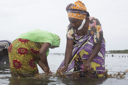 Shimoni, Kenya (16 February 2014).