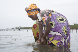 Shimoni, Kenya (16 February 2014).