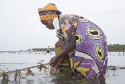 Shimoni, Kenya (16 February 2014).