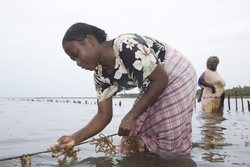 Shimoni, Kenya (16 February 2014).