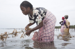 Shimoni, Kenya (16 February 2014).