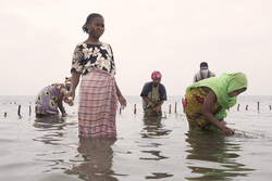 Shimoni, Kenya (16 February 2014).