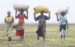 Shimoni, Kenya (16 February 2014).