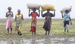 Shimoni, Kenya (16 February 2014).