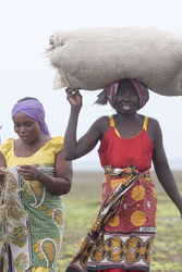 Shimoni, Kenya (16 February 2014).