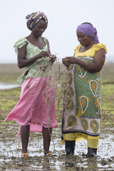 Shimoni, Kenya (16 February 2014).