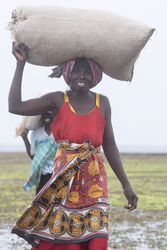 Shimoni, Kenya (16 February 2014).