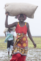 Shimoni, Kenya (16 February 2014).