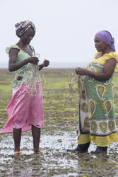 Shimoni, Kenya (16 February 2014).