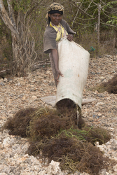 Shimoni, Kenya (16 February 2014).
