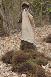 Shimoni, Kenya (16 February 2014).