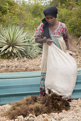 Shimoni, Kenya (16 February 2014).