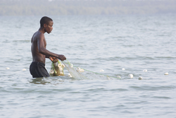 Mida Creek, Kenya (17 February 2014).