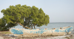 Mida Creek, Kenya (17 February 2014).