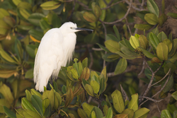 18.02.2014 Mida Creek