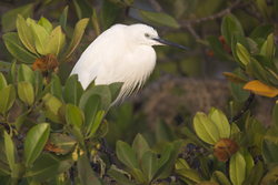 18.02.2014 Mida Creek