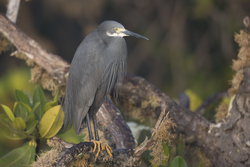 18.02.2014 Mida Creek