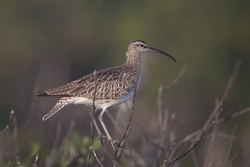 18.02.2014 Mida Creek