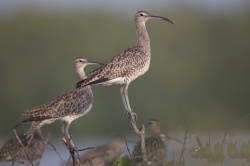 18.02.2014 Mida Creek