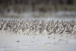 18.02.2014 Mida Creek