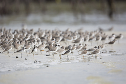 18.02.2014 Mida Creek