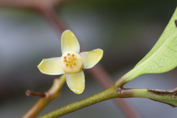 Mida Creek, Kenya (18 February 2014).