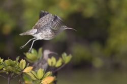 18.02.2014 Mida Creek