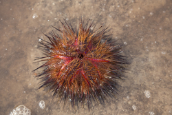 Mida Creek, Kenya (18 February 2014).
