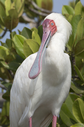 Mida Creek, Kenya (18 February 2014).