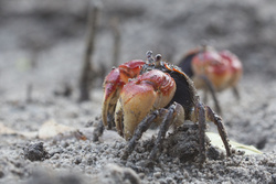 19.02.2014 Mida Creek