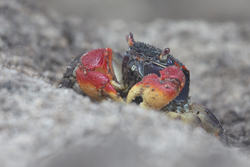 19.02.2014 Mida Creek