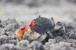Mida Creek, Kenya (19 February 2014).