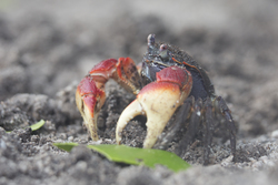 Mida Creek, Kenya (19 February 2014).